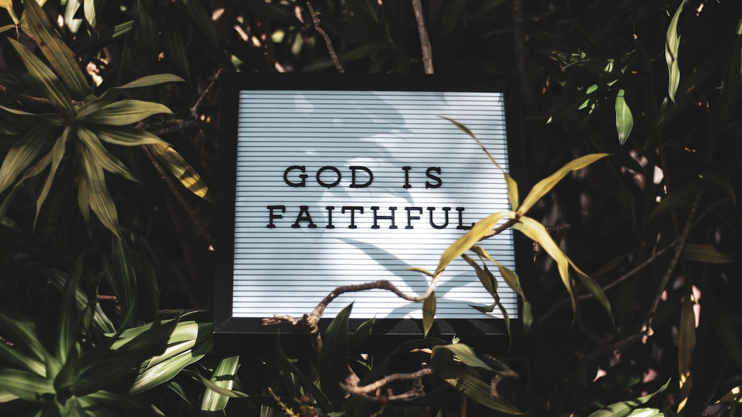 Reflecting on the Meaning of Holy Seasons